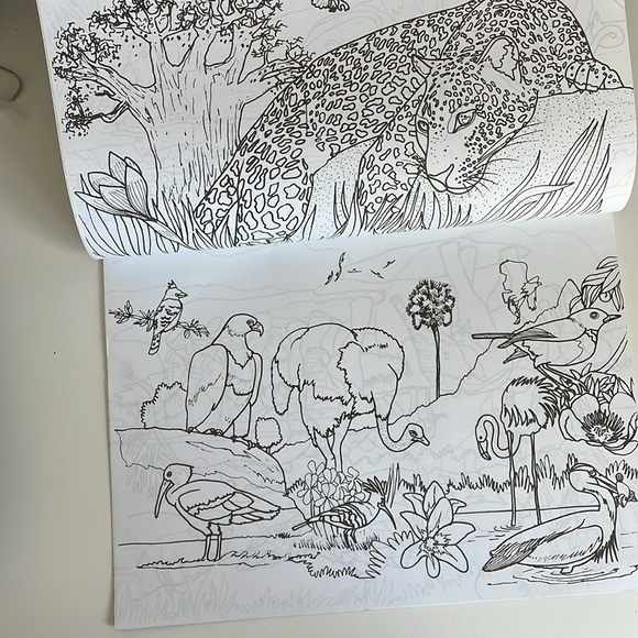 Blue Rhino African Wildlife Tonga Coloring Book Souvenir - Picture 3 of 8